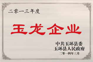 企業(yè)資質(zhì)